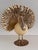 Vintage Italian Brass and Ostrich Egg Bird Sculpture by Antonio Pavia, 1970s For Sale - Image 10 of 12