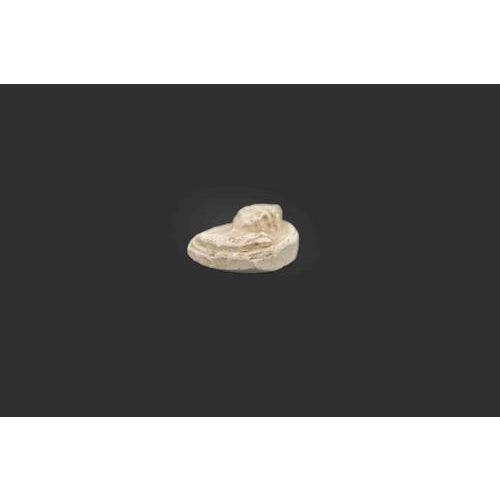 Ancient Neoclassical Cameo Intaglio in Biscuit, Italy, 19th Century For Sale - Image 4 of 5
