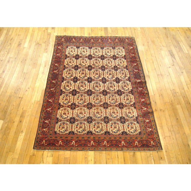 An antique Persian Ferahan Sarouk oriental carpet, size 6'7 x 4'5, circa 1900. This delightful hand-knotted antique wool...