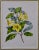 A hand-colored engraving of yellow trumpet flowers from Sir Joseph Paxton's (1803-1865) "Magazine of Botany and Register...