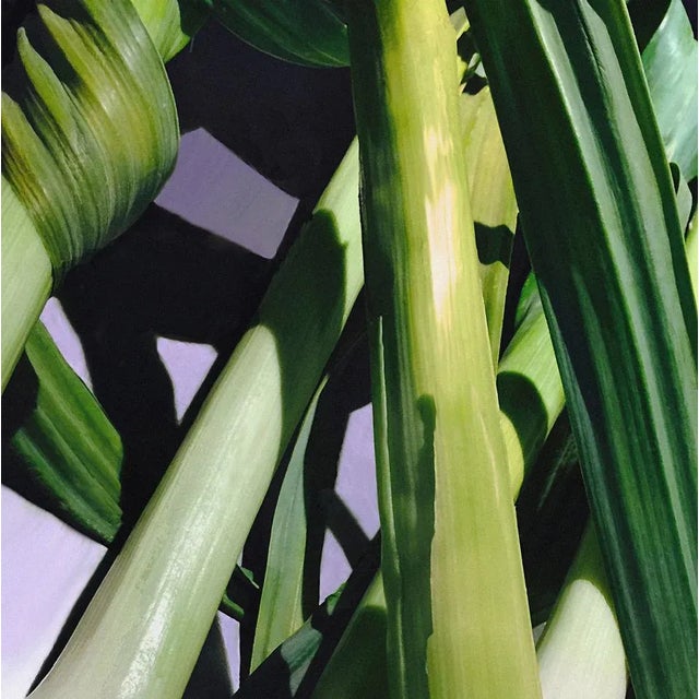 Elephant Garlic - Archival Pigment Print on Fine Art Matte Paper by Reed Hearne For Sale