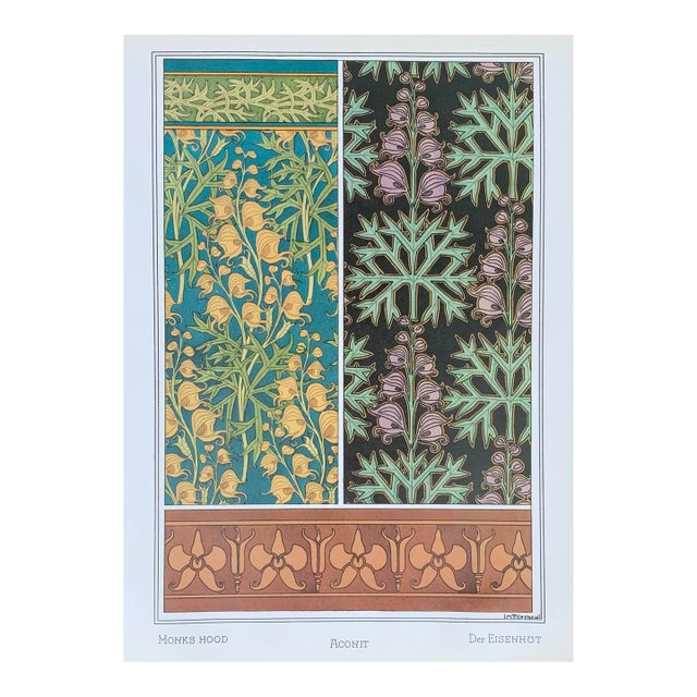 Art Nouveau Wildflower Botanical Illustration Monkshood Wolfsbane Aconite For Sale