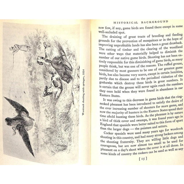 Traditional "The English Springer Spaniel in America" 1932 Ferguson, Henry Lee For Sale - Image 3 of 12