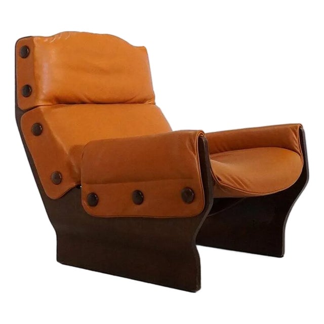 P110 Canada Lounge Chair by Osvaldo Borsani for Tecno, Italy, 1970s For Sale