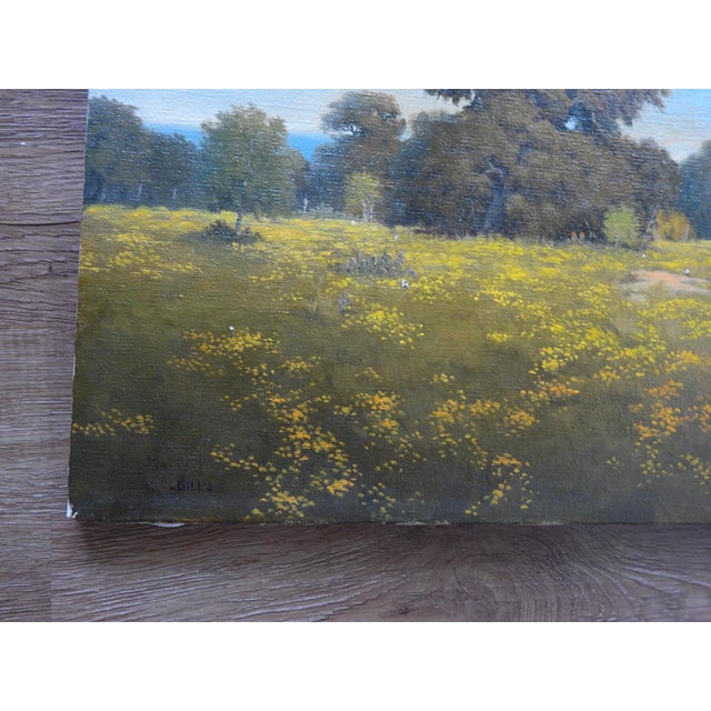 Late 20th century oil on canvas painting of Texas landscape with live oak trees and yellow wildflowers by P.L. Gill (20th...