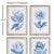 Monochromatic in a soft indigo hue, this set of protea illustrations in vintage botanical style make a gorgeous...