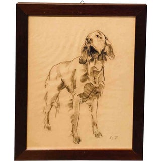 Setter, 1920s, Charcoal on Paper, Framed For Sale