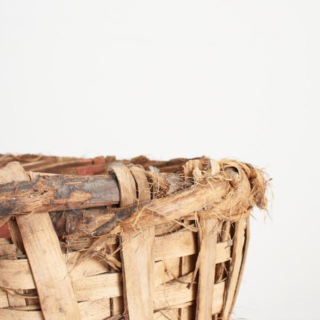 Wood Grape Harvest Log Basket, 1950s For Sale - Image 7 of 9