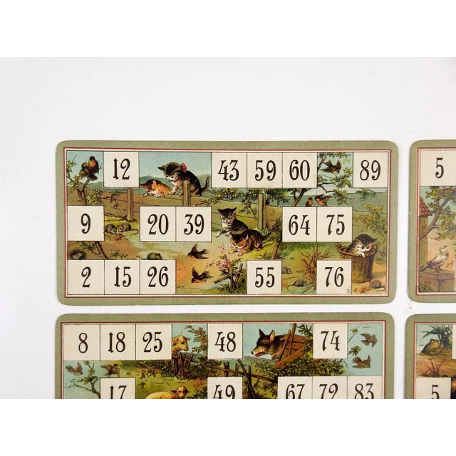 Late 19th Century Antique Lithograph Lotto Game Cards Kittens, Wolf, Birds - Set of 4 For Sale - Image 5 of 7