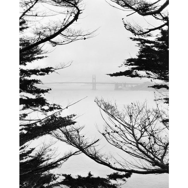 Golden Gate Bridge Lands End, 2023 Limited edition of 15. Photograph shot using mid-century large format film camera...