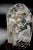 Rock Crystal Tiger Kingdom Sculpture Hand Carved For Sale - Image 4 of 13