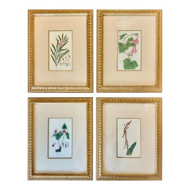 Example of Gold-Plate Prints