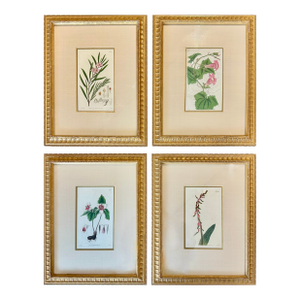 Botanicals: Trillion, Oleander, Snapdragon, Original by by William Curtis, 1803 (Set/4)