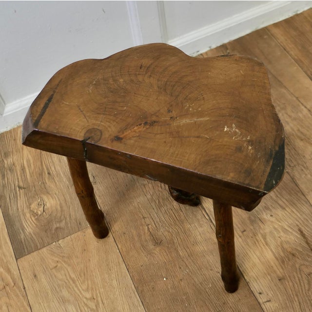 Wood Rustic Slice of Live Edge Elm Stool For Sale - Image 7 of 7