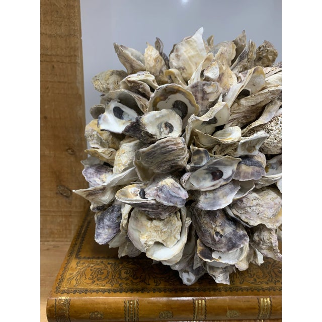 Vintage 1980’s Oyster Shell Orb with Jute Handle