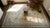 Ivory Background Color Delicate Details Floral in a Medallion Design Antique Chinese Peking Rug For Sale - Image 9 of 9