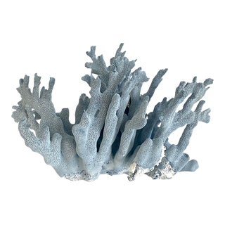 Natural Blue Coral Specimen For Sale