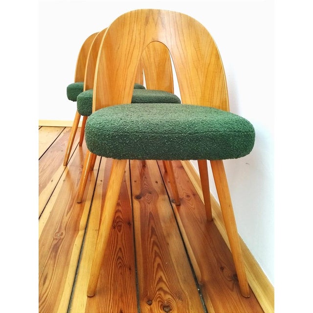 Dining Chairs attributed to A. Suman for Tatra Nabytok, Former Czechoslovakia, 1960s, Set of 3 For Sale - Image 14 of 15