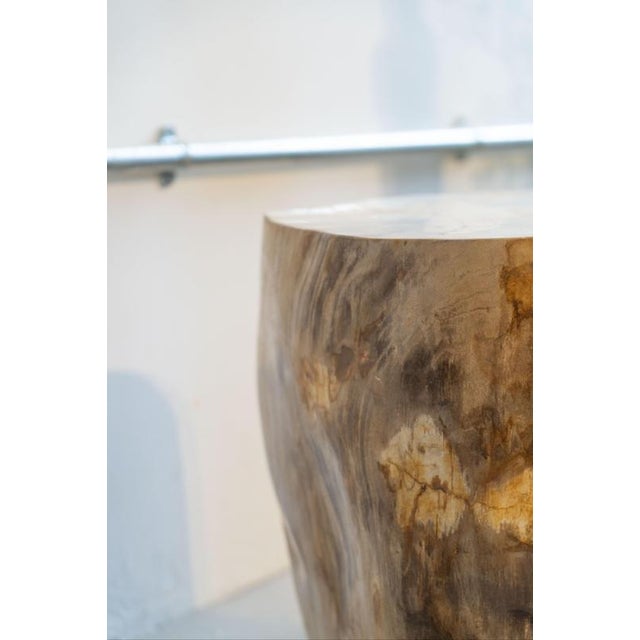 Petrified Wood Side Table, 1970s For Sale - Image 4 of 9