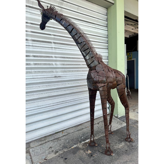 Lifesize Welded Metal Giraffe . Great Garden Decor For Sale - Image 10 of 12