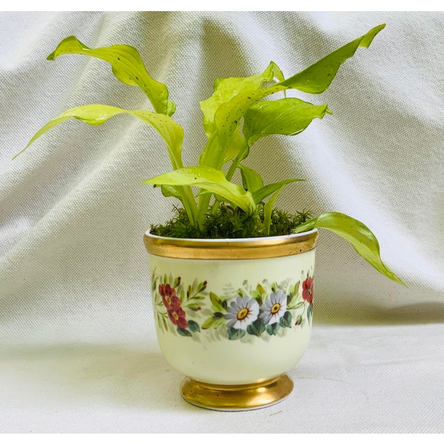 Animal Skin Vintage Hand-Painted Porcelain Cachepots, Floral With Gilt Rim - A Pair For Sale - Image 7 of 18