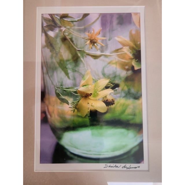 2000 - 2009 Set Of. 2 Framed Signed Still Life Art Photography For Sale - Image 5 of 14