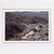 Contemporary Joshua Tree Photograph No. 11 For Sale - Image 3 of 5