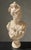 Antique White Mid 19th Century Plaster Bust of a Young Lady by A. Carrier Belleuse For Sale - Image 8 of 15