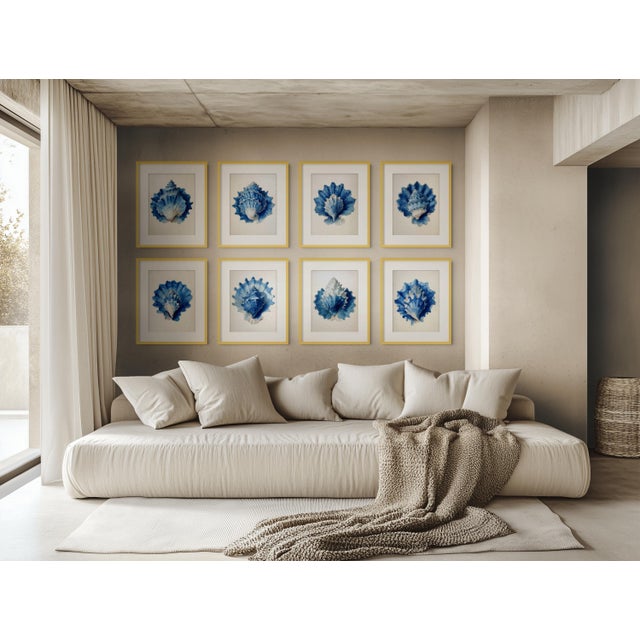Set of 8 – Blue Seashell Collection | Coastal Natural History Fine Art Prints A refined collection of six Blue Seashell...