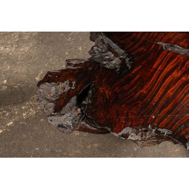 Wood Mid 20th Century Live-Edge Burlwood Root Coffee Table For Sale - Image 7 of 9