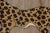 Traditional Vintage Leopard Pictorial Gabbeh Rug by Rug & Kilim, Afghanistan, 1950-1959 For Sale - Image 3 of 10