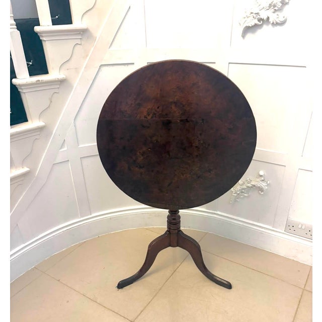 Antique Georgian Burr Oak Tripod Tilt Top Occasional Table, 1780 For Sale - Image 14 of 14