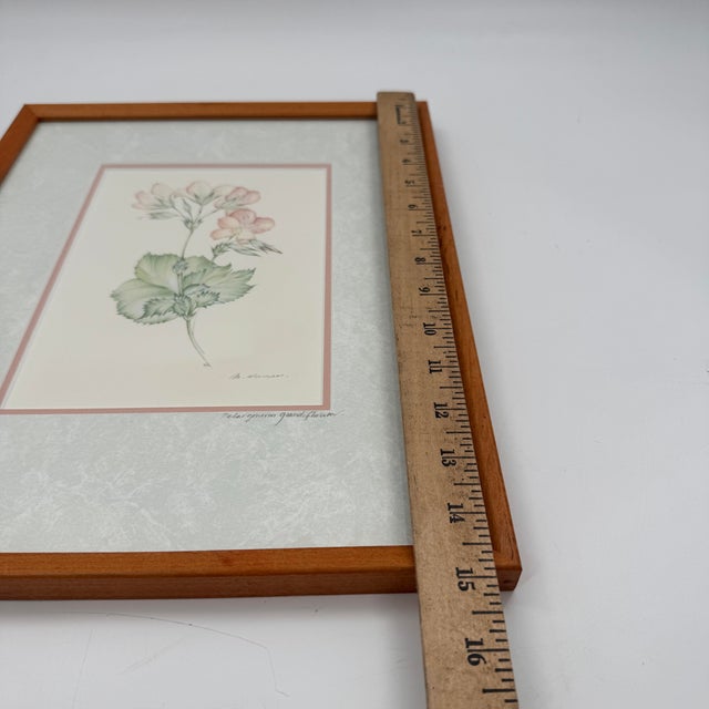 Blush Margot Weemaes 1981 Pelargonium Grandiflorum Botanical Portfolio Print For Sale - Image 8 of 9