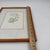Blush Margot Weemaes 1981 Pelargonium Grandiflorum Botanical Portfolio Print For Sale - Image 8 of 9