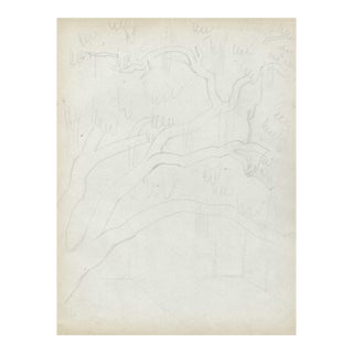1940s Grace Spongberg Biloxi Mississippi Live Oaks Drawing For Sale