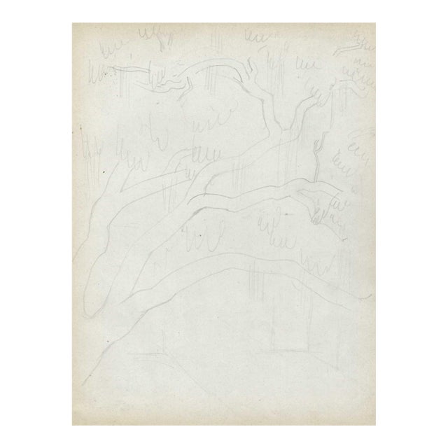 1940s Grace Spongberg Biloxi Mississippi Live Oaks Drawing For Sale