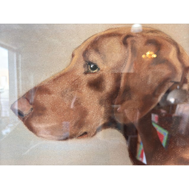 1970s 70's Vintage F. Worden "Ch. Edmonton Newt" Dog Portrait Painting, Framed For Sale - Image 5 of 12