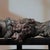 Vintage Gilt Bronze Mythical Beast Figure – Water-Absorbing Beast (Xishui Shou) For Sale - Image 4 of 9