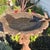Metal Vintage Patinated Cast Iron Pedestal Bird Bath Sculpture With Nymph Figure Stand and Bird on the Rim For Sale - Image 7 of 12