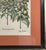 Vintage Framed Basilius Besler Botanical Lithograph Prints Hortus Eystettensis Pair For Sale - Image 17 of 18
