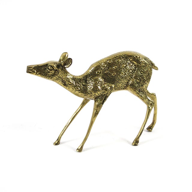 Brass Deer, 1970s, Set of 2 For Sale - Image 4 of 8