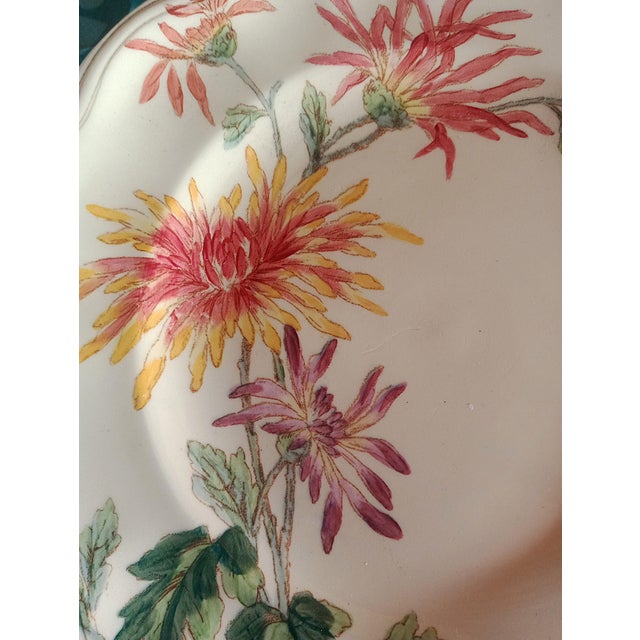 Compotier in Terre de Fer from Longchamp For Sale - Image 4 of 6