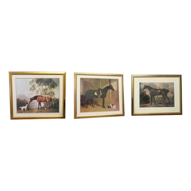 George Stubbs, Horses, 1960, Large Prints, Framed, Set of 3 For Sale