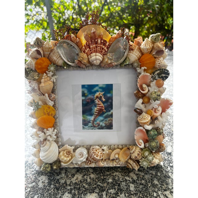 White Christa's South Seashell Photo Frame For Sale - Image 8 of 8