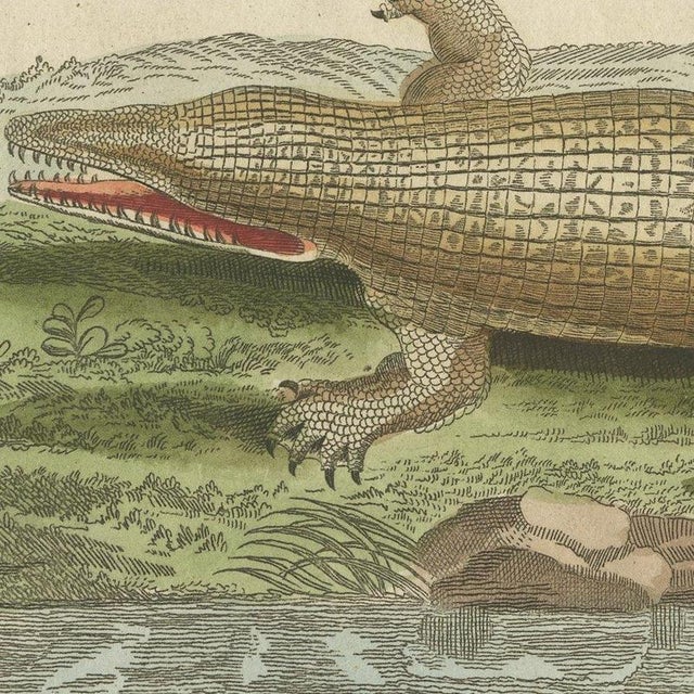 Bertuch, Crocodiles with an Egyptian Pyramid, 1805, Print For Sale - Image 4 of 12