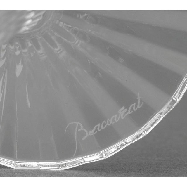 Baccarat "Mille Nuits" Crystal Champagne Flutes, 4 For Sale - Image 9 of 9