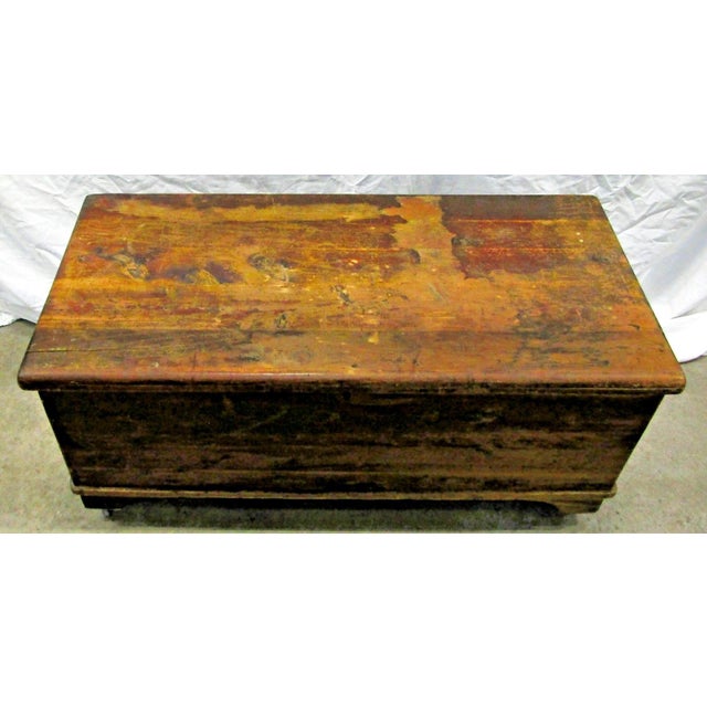 19th Century Early American Style Cedar Constructed Trunk Blanket Chest Castors For Sale - Image 4 of 16