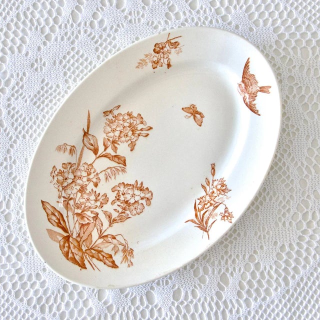 Ceramic 19th Century Longwy Oval Dish Sepia Iron Earth Botanical Bird, 1890s For Sale - Image 7 of 10