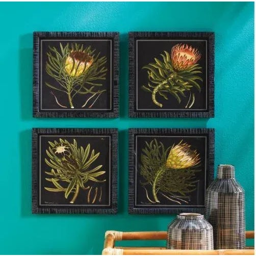 The Protea Petite Prints - Set of 4 These Protea Prints really bring the drama. With a black background and simple...