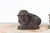 Vintage Lost Wax Cast Bronze Foo Dog Sculptures with Bronze or Verde Patina For Sale - Image 10 of 12